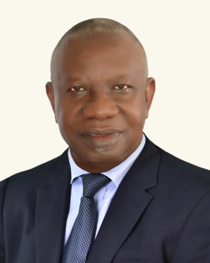 Mr. Emmanuel Botchwey